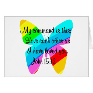 PRETTY RAINBOW BUTTERFLY