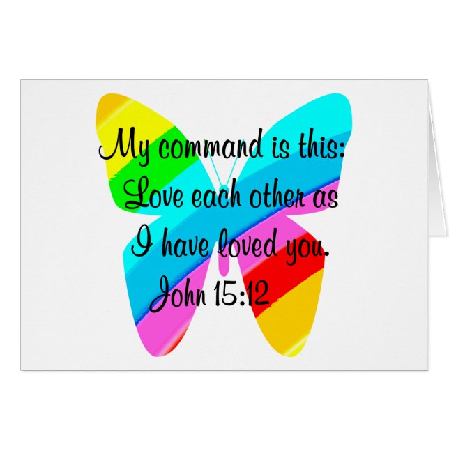 PRETTY RAINBOW BUTTERFLY (Front Horizontal)