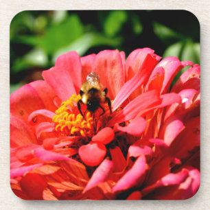 Pretty red floral and honeybee coaster