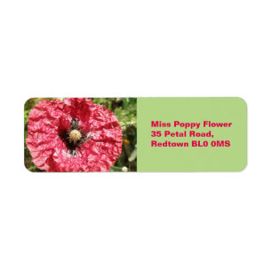 Pretty Red Poppy Flower Macro Custom Labels