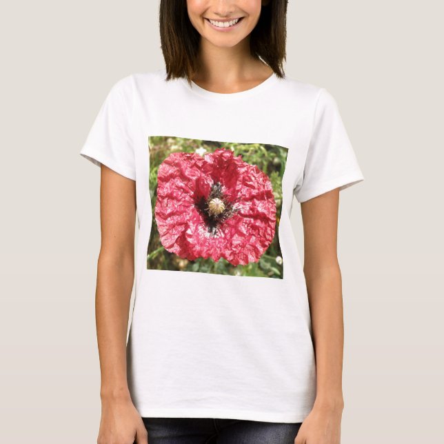 Pretty Red Poppy Flower Macro Ladies T Shirt (Front)