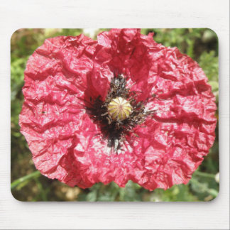 Pretty Red Poppy Flower Macro Mousepad