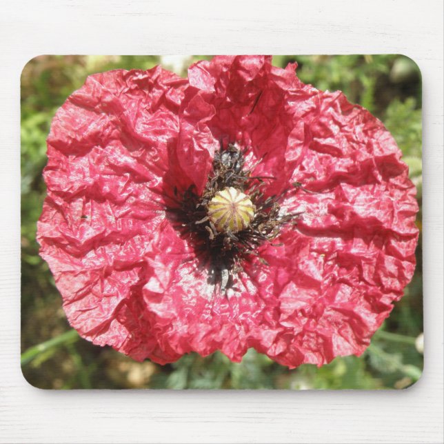 Pretty Red Poppy Flower Macro Mousepad (Front)