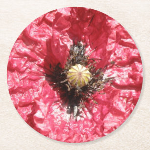 Pretty Red Poppy Flower Macro Paper Coasters