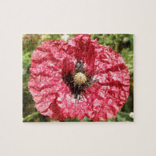 Pretty Red Poppy Flower Macro Puzzle