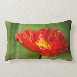 Pretty red poppy flowers lumbar pillow
