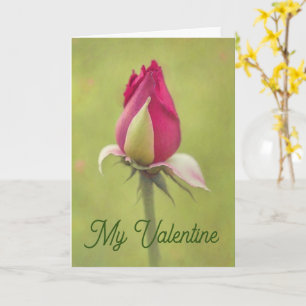 Pretty Red Rose Flower Bud Valentine Love Card
