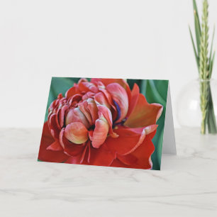 Pretty Red Tulip and Scripture Card 