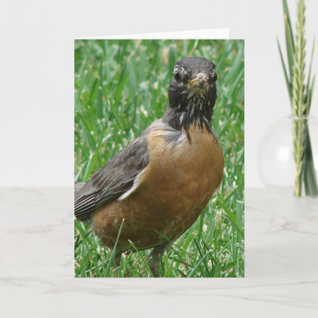 Pretty Robin Card (Front)