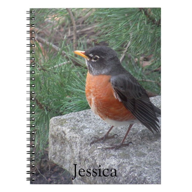 Pretty Robin Photo Personalized Name  Notebook (Front)