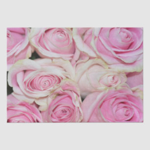 Pretty romantic pink cream roses tissue paper