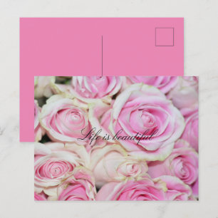 Pretty Romantic Pink White Roses Postcard