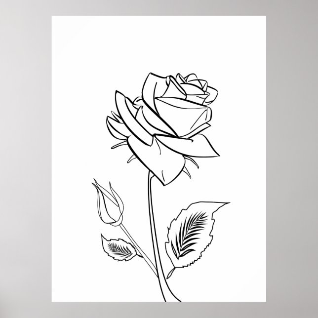 Pretty Rose Flower Drawing  Poster (Front)