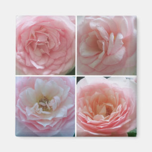 Pretty Roses Magnet
