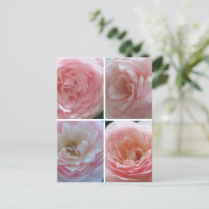 Pretty Roses Postcard