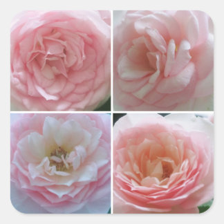 Pretty Roses Square Sticker