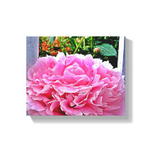 Pretty Rustic Pink Peony Flower