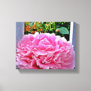 Pretty Rustic Pink Peony Flower Canvas Print