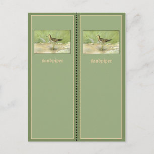 Pretty Sandpiper Bookmark Postcard