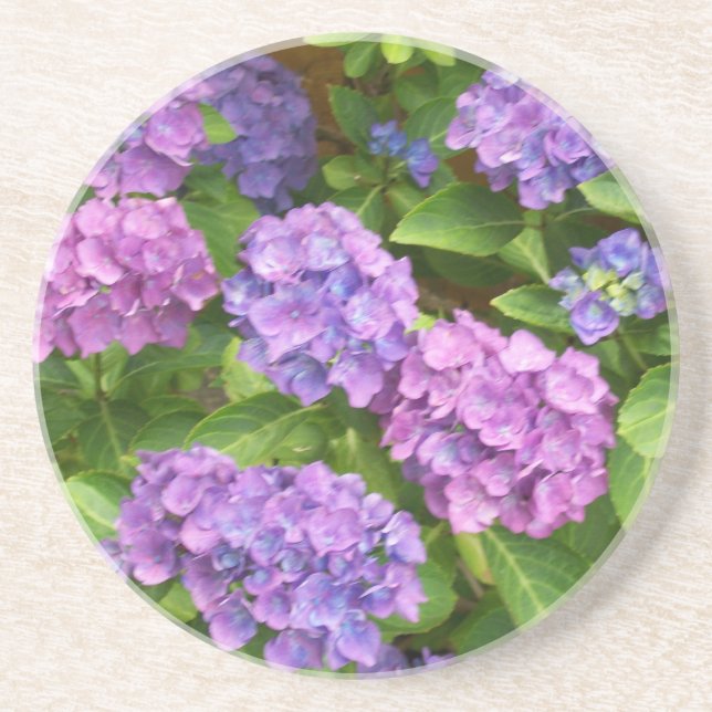 Pretty Sandstone Coaster, Pink, Blue Hydrangeas Coaster (Front)