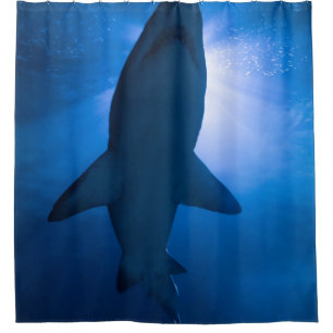 Pretty Sea Animals