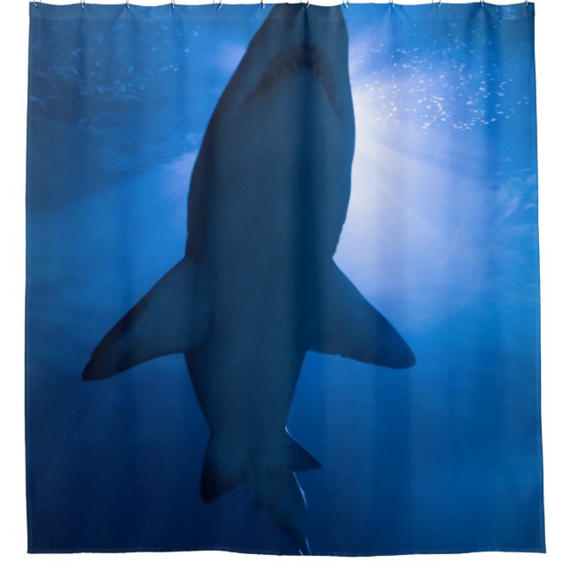 Pretty Sea Animals (Front)