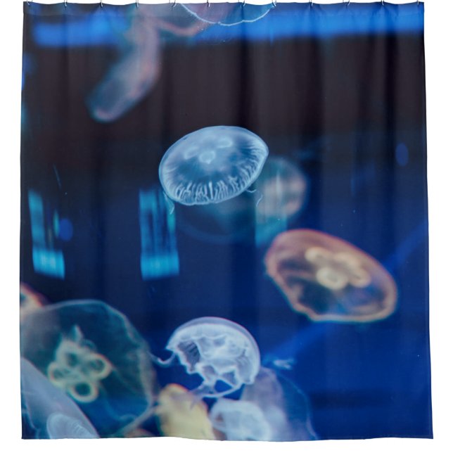 Pretty Sea Life (Front)