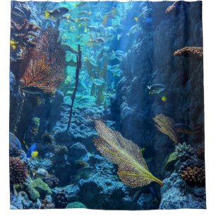 Pretty Sea Life
