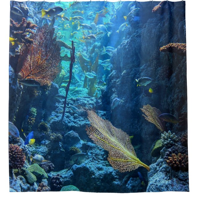 Pretty Sea Life (Front)