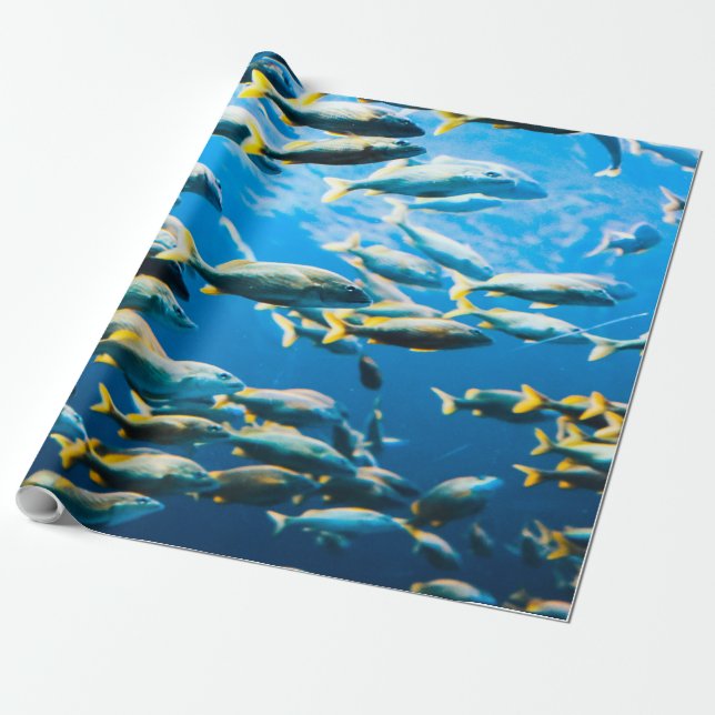 Pretty Sea Life Wrapping Paper (Unrolled)