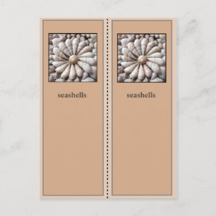 Pretty Sea Shells Bookmark Postcard