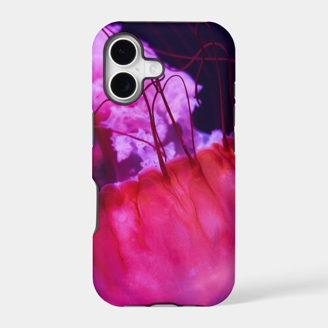 Pretty Seascape (Back)