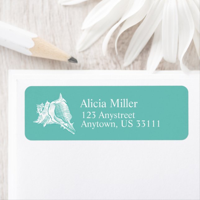 Pretty Seashell Aqua White (Insitu)