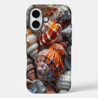Pretty Seashells