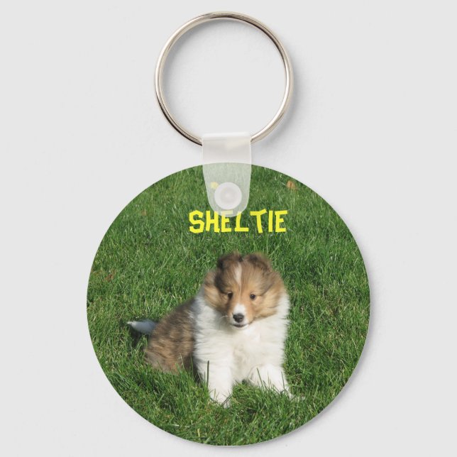 Pretty sheltie puppy sitting in grass keychain (Front)