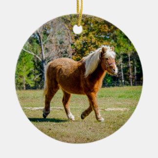 Pretty Shetland Pony Ceramic Ornament