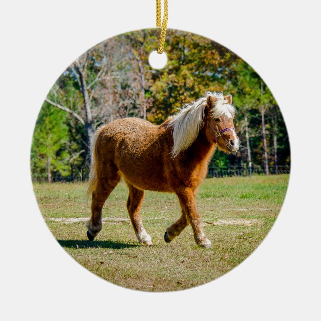 Pretty Shetland Pony Ceramic Ornament (Front)