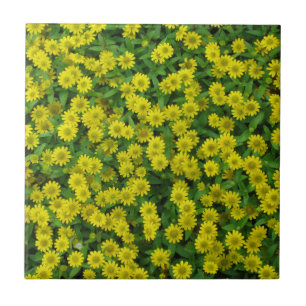 Pretty Small Yellow Flowers Tile