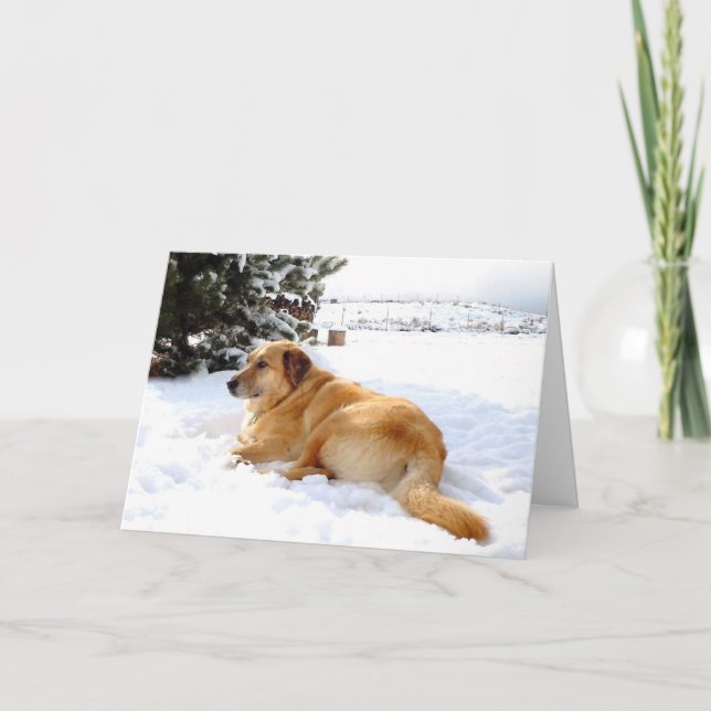 Pretty Snowscape Golden Retriever Dog Scene Holiday Card (Front)