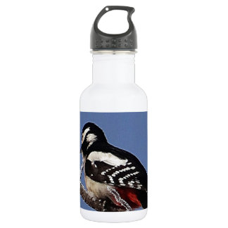 Pretty spotted woodpecker 532 ml water bottle