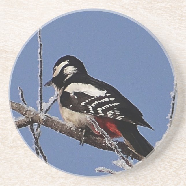Pretty spotted woodpecker coaster (Front)