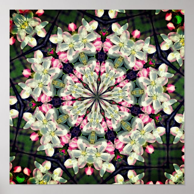 Pretty Spring Blossoms Flower Abstract Art  Poster (Front)