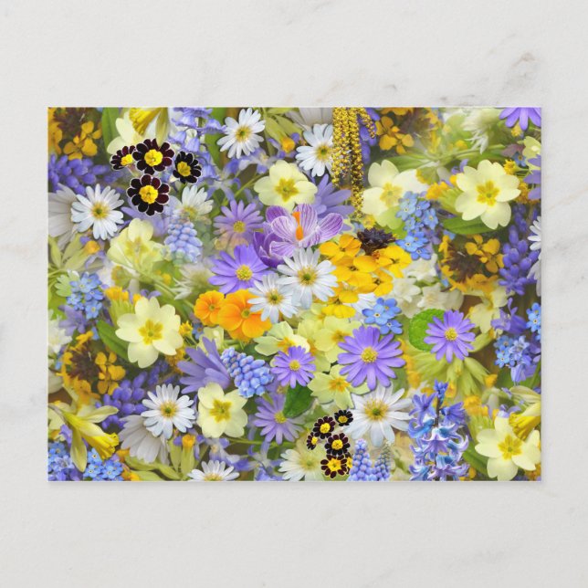 Pretty Spring Flowers Collage Postcard (Front)