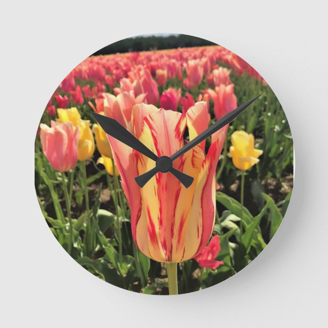 Pretty Spring Tulip, Oregon Round Clock (Front)