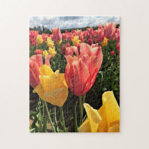 Pretty Spring Tulips in a Field, Oregon Jigsaw Puzzle