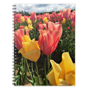 Pretty Spring Tulips in a Field, Oregon Notebook