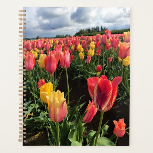 Pretty Spring Tulips in a Field, Oregon Planner (Front)