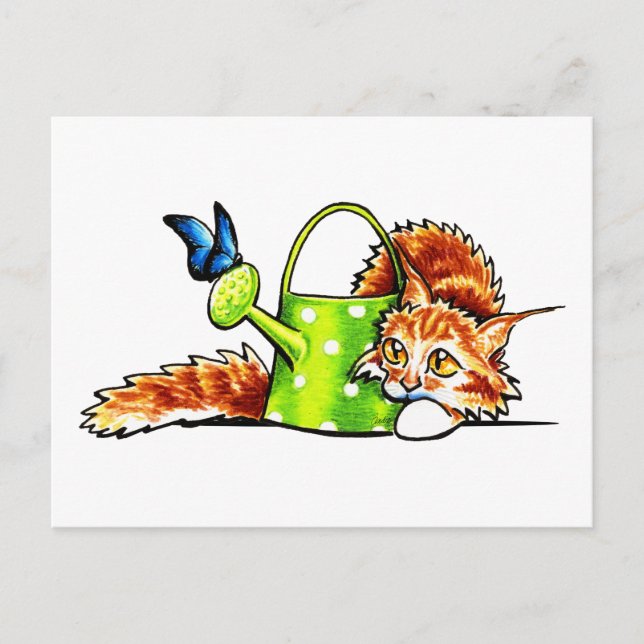 Pretty Stealthy Orange Tabby Maine Coon Postcard (Front)