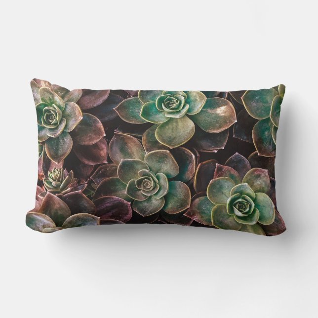Pretty #Succulent Plants Lumbar Pillow (Front)