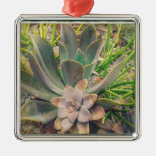Pretty Succulent Plants Metal Ornament
